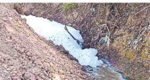 बेतवा की निर्मलता को निगल रहा ‘जहर’, मंडीदीप के उद्योगों ने घोला केमिकल, विदिशा के नालों ने छीनी शुद्धि