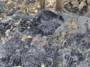 बैतूल में जलापूर्ति लाइन फटी, आग से 10 फीट पाइप जली, हजारों लीटर पानी बहा, सप्लाई बाधित