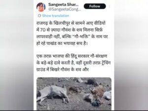 राजगढ़ में गायों के कंकाल मिलने पर सियासत तेज, कांग्रेस ने भाजपा की गौ-राजनीति पर उठाए सवाल